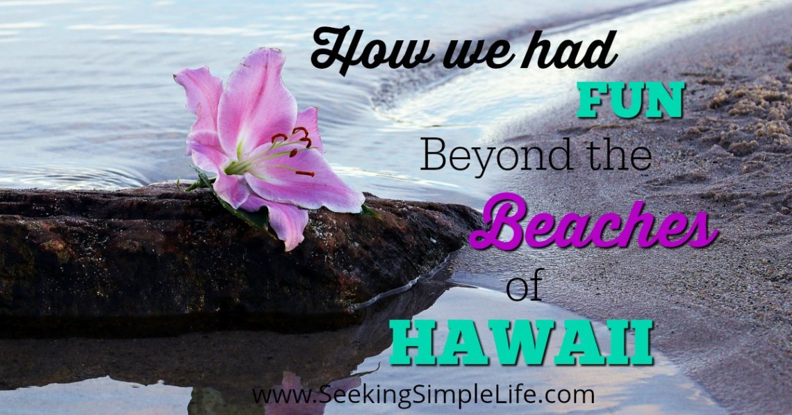 How we had Fun Beyond the Beaches of Hawaii | Traveling with Kids