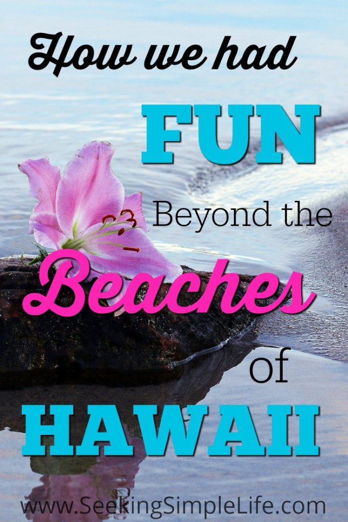 How we had Fun Beyond the Beaches of Hawaii | Traveling with Kids