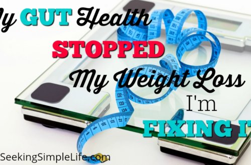 My Gut Health Stopped My Weight Loss | What I am Doing to Fix It