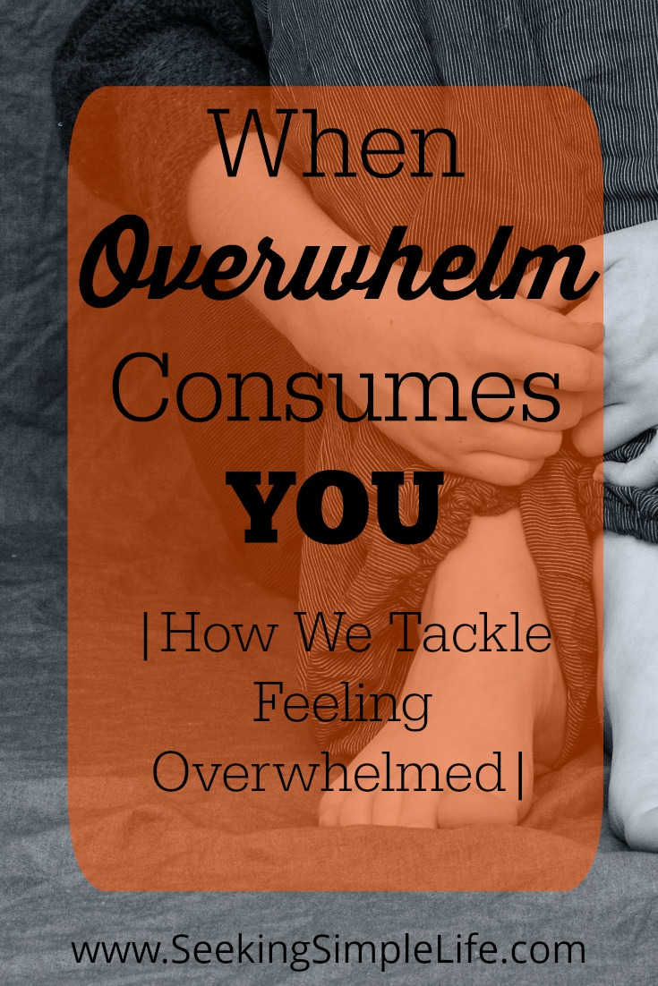 Feeling overwhelmed is a natural occurrence but it is how you handle feeling overwhelmed that makes a difference in your day. Learning how to turn that feeling of overwhelm into a positive situation will change your life. #mentalhealth #overwhelm #mindfulness #personaldevelopment #seekingsimplelife