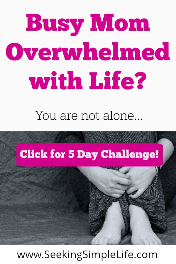 Learning how to turn that feeling of overwhelm into a positive situation will change your life. Join the 5 day challenge today! #mentalhealth #personaldevelopment #mindfulness #intentionalliving #overwhelm #busymoms #workingmothers #careeradvice #lifelessons #seekingsimplelife
