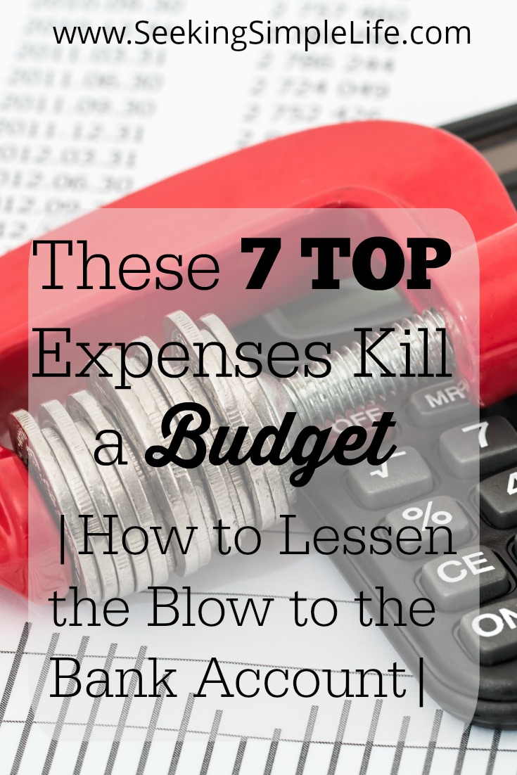 These 7 Top Expenses Kill a Budget | How to Lessen the Blow to the Bank Account