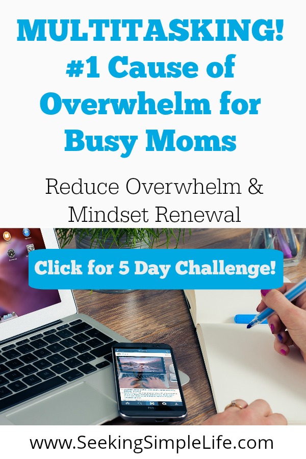 Stop Overwhelm today with the 5 Day Challenge! As busy parents, it's important to realize that in order to bring balance into our lives we need to be as productive as possible. Multitasking isn't the answer if the price is your health, career, and relationships. Multitasking affects your brain long-term but with practice, you can change your habits. #badhabits #multitasking #productivity #mentalhealth #relationships #careeradvice #parentingadvice #anxiety #stress #distractions #lackoffocus #marriageadvice #seekingsimplelife