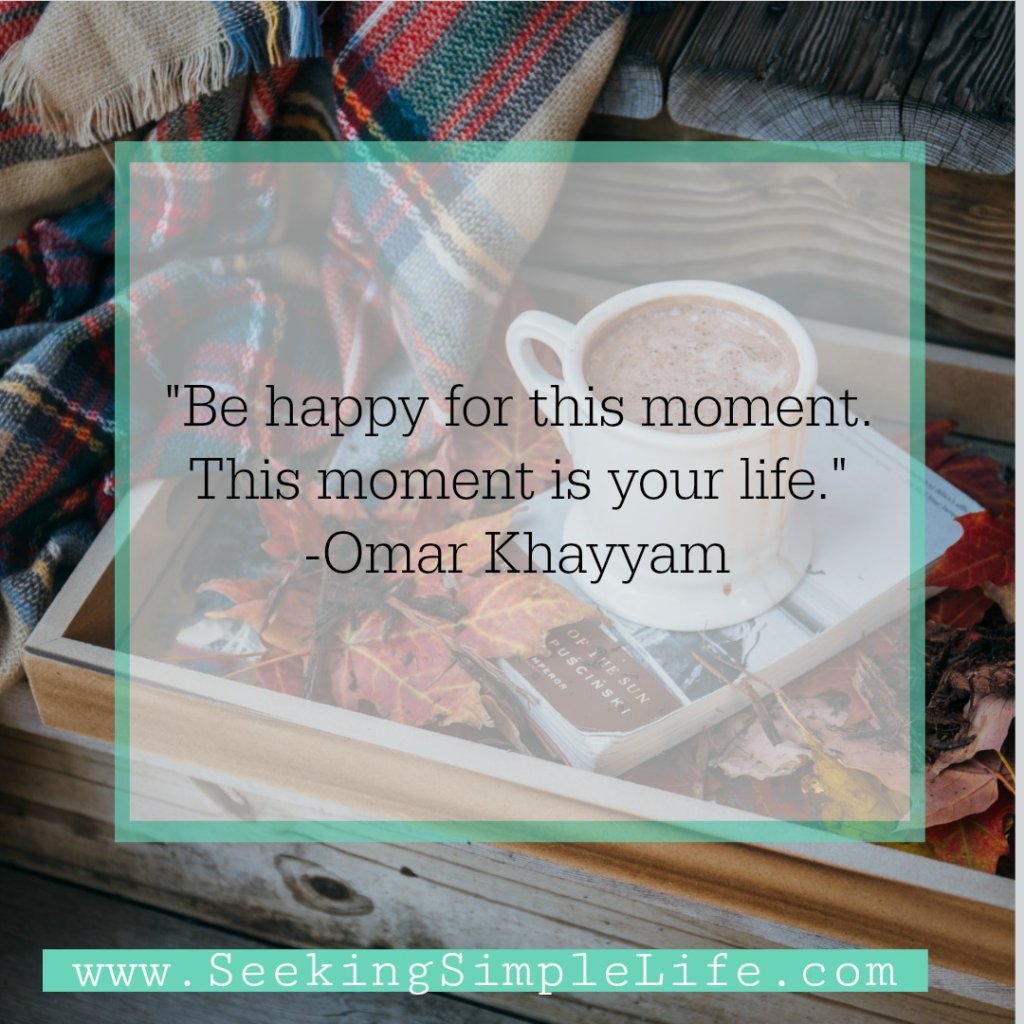 Enjoy life as you have it now. Take moments to appreciate the present moment. #careerwomen #workingmothers #inspirationalquotes #careeradvice #selfcare #reflection #mindfulness #seekingsimplelife