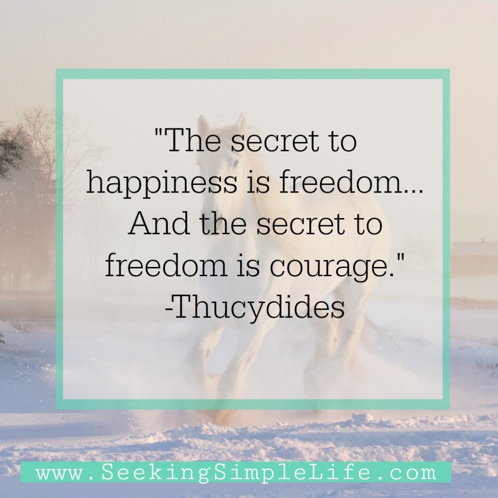 Don't be afraid to achieve your dreams. Strive for the freedom to live life fully. #careerwomen #workingmothers #inspirationalquotes #careeradvice #selfcare #reflection #mindfulness #seekingsimplelife