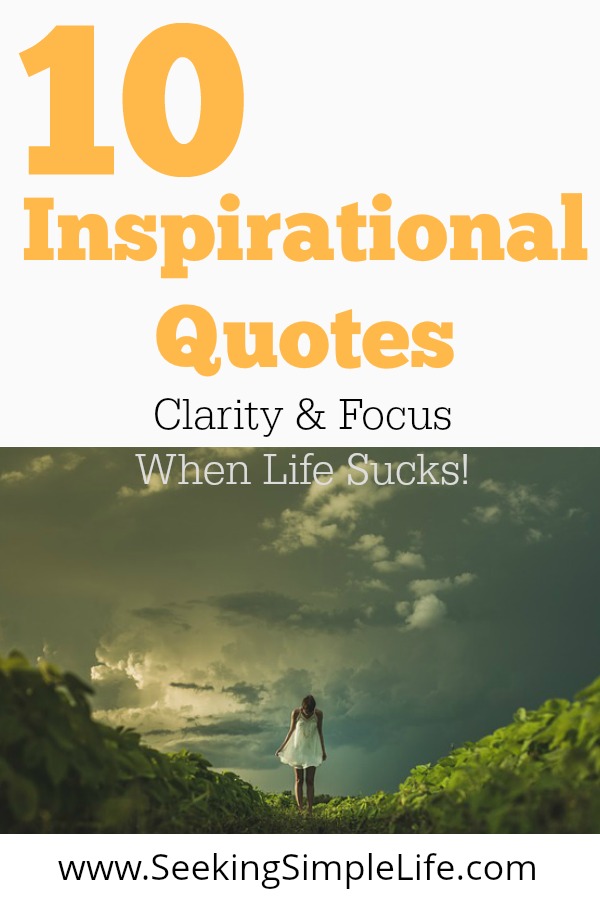 Stop negativity & find inspiration here. 10 inspirational quotes about happiness will help bring clarity and focus. Working moms can use them to eliminate discouragement and continue working towards their dreams. #careerwomen #workingmothers #inspirationalquotes #careeradvice #selfcare #reflection #mindfulness #seekingsimplelife
