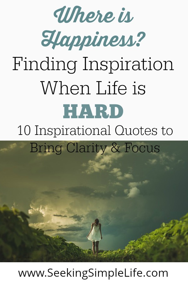 These 10 inspirational quotes about happiness will help bring clarity and focus. Working moms can use them to eliminate discouragement and continue working towards their dreams. #careerwomen #workingmothers #inspirationalquotes #careeradvice #selfcare #reflection #mindfulness #seekingsimplelife