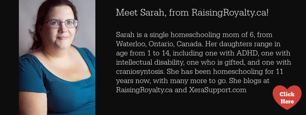 Sarah is a single homeschooling mom of 6, from Waterloo, Ontario, Canada. Her daughters range in age from 1 to 14, including one with ADHD, one with intellectual disability, one who is gifted, and one with craniosyntosis. She has been homeschooling for 11 years now, with many more to go. She blogs at RaisingRoyalty.ca and XeraSupport.com