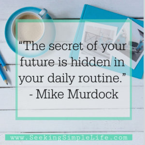 The secret of your future is hidden in your daily routine. Such a simple way to explain why I'm not moving forward with my career or life goals. Improving my productivity will help but it is more than just the tools I use, it's how I use those tools that matter. #goalsetting #lifelessons #careeradvice #productivity #workingmothers #busymoms #seekingsimplelife