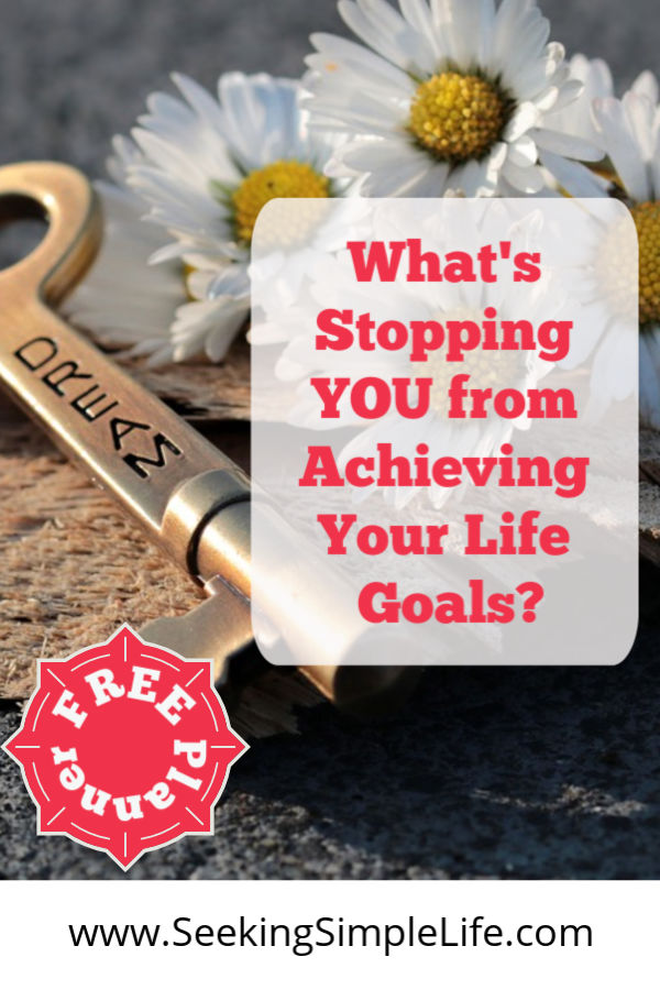 Finally tips for goals that will help me succeed! #lifelessons #goalsetting #goaltips #worksheets #careeradvice #successplanning #seekingsimplelife