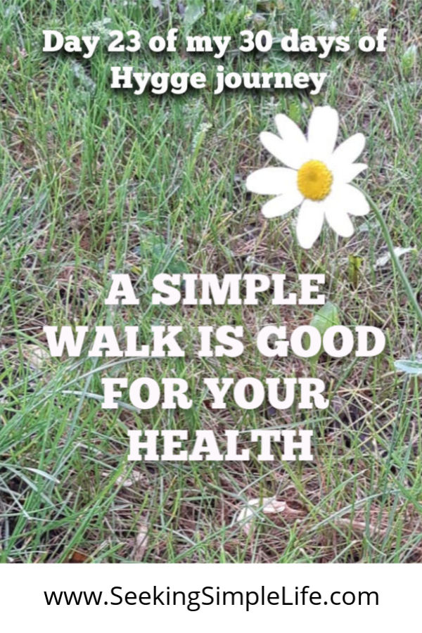 Walking is more than good for your physical health. It takes mindfulness to let walking help your mental health. These are the lessons from today's Hygge walk. #hyggelifestyle #mindfulness #lifelessons #healthylifestyle #workingmothers #busymoms #seekingsimplelife