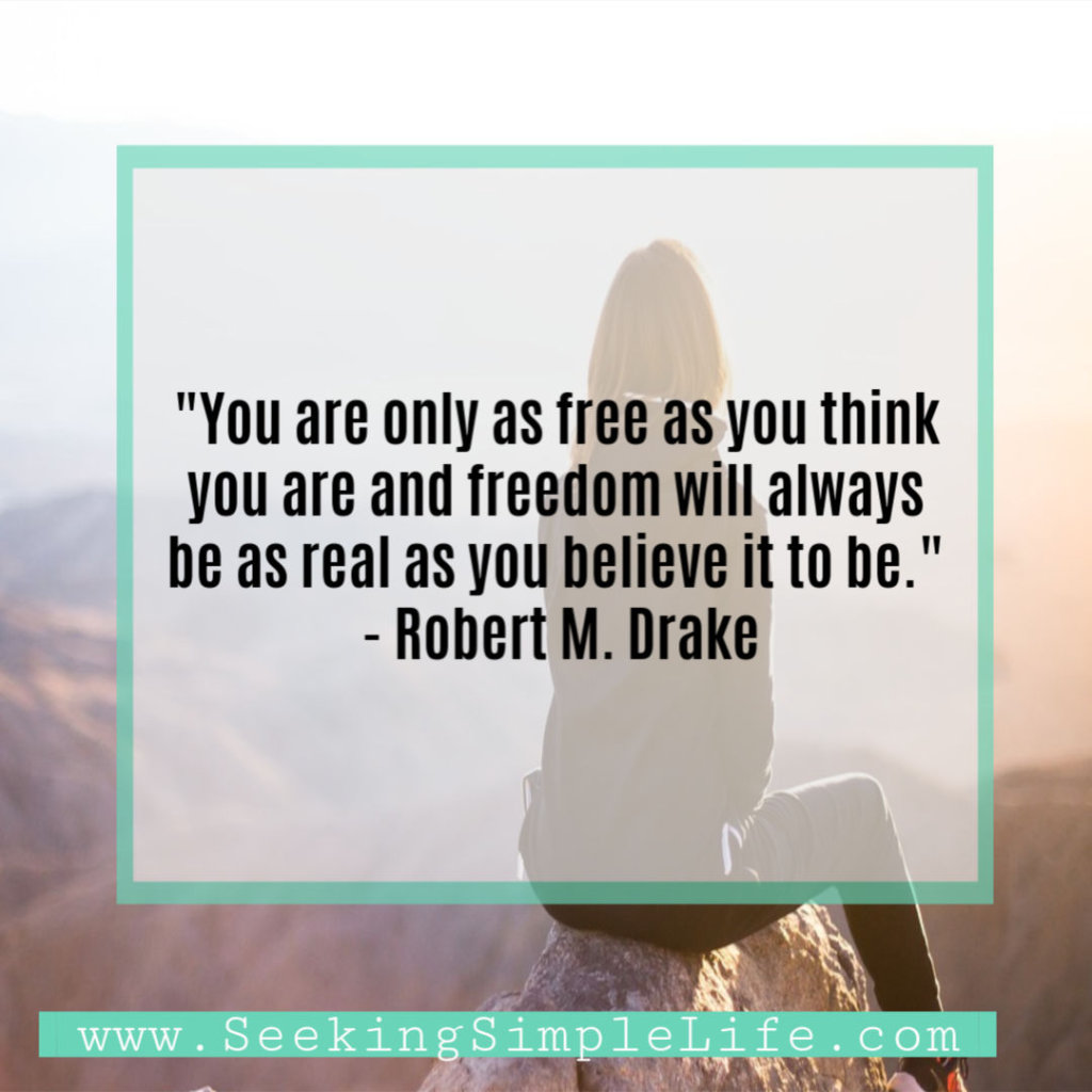  Is your mindset limiting your success for your life goals? How are you defining freedom for your life goals? Find out how to break through this barrier by reading more here. #goalsetting #understandingfreedom #mindsetshifts #growthmindset #financialfreedom #lifestylefreedom #timefreedom #lifelessons #workingmothers #busymoms #seekingsimplelife