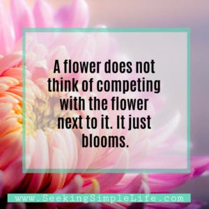 A flower does not think of competing with the flower next to it. It just blooms. Stop thinking that how you are feeling is small compared to others. You matter! Learn how to stop minimizing your feelings and start creating more work-life balance.