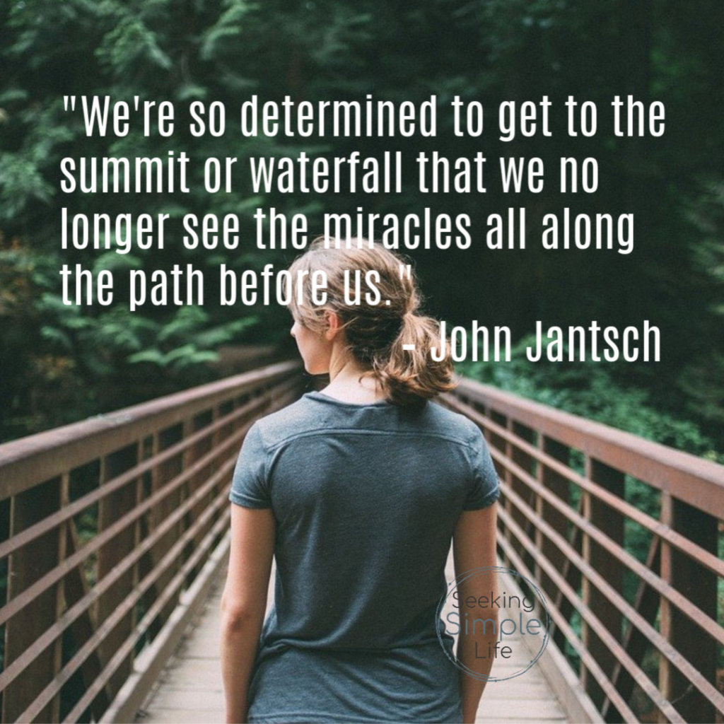 We're so determined to get to the summit or the waterfall that we no longer see the miracles all along the path before us." John Jantsch