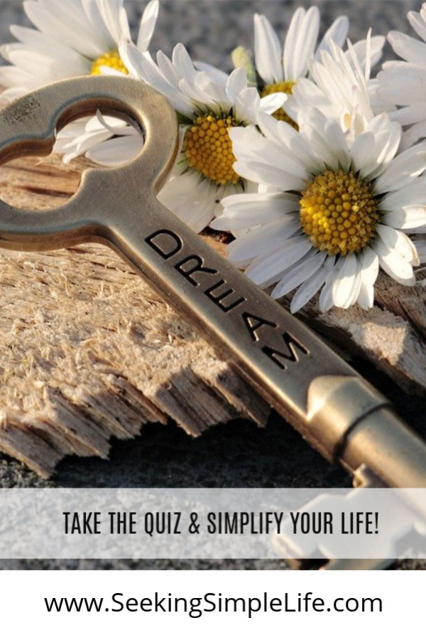 Are you chasing the dream but not getting anywhere? Did you know that the key to a simple life could be knowing your pillars of life? Discover the key to simplifying YOUR life today by taking this FREE quiz. #stayathomemoms #workingmothers #workathome #entrepreneurs #mindsethelp #seekingsimplelife