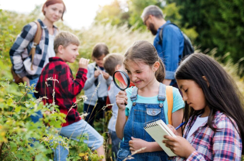 Plants, animals, people, Earth...all have been formed within the Law of Forms. The layers of experiencing this creation are filled with abundance.