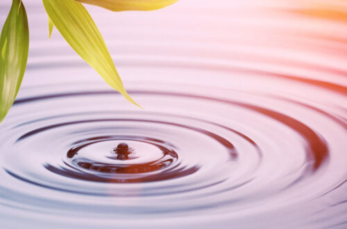 The Law of Transmutation of Energy is an emotional mastery vehicle via Guidance within your life. The positive ripples that occur as you heal via this Law of the Universe expand your abundance opportunities in ways you may not realize.