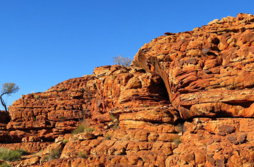 There is a beautiful mountain journey available for those willing to forgive the trauma within the ancestral roots. This article talks about a moment where one aspect of aboriginal history was embraced in freedom of what was to reach into the ancient knowledge of what is possible within the future of many.
