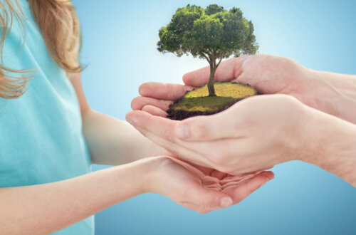 The family tree is an honor handed down from generation to generation. Facing the generational energy with love includes remembering the love you have for your heritage and trusting you will have the grace and compassion necessary to learn what is there to learn.