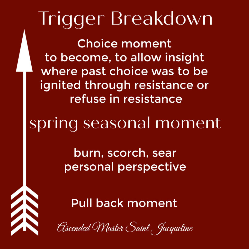 The insight within this trigger breakdown is similar to the trigger mechanism in a bolt action rifle. We can choose to let the negative version of a trigger sear in the hate for another or oneself, or use the pull back to be within a positive spring season and become different by allowing insight.