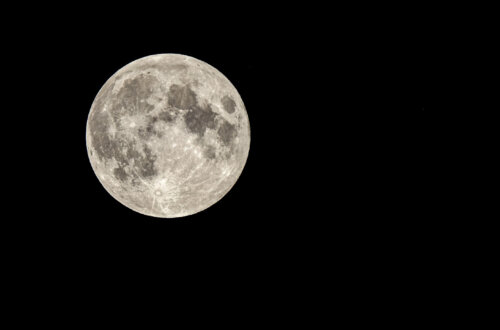 The full moon energy insights for May 1-8, 2026 include personal manifestation help for those desiring direction from myself, Ascended Master Saint Jacqueline.