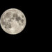 The full moon energy insights for May 1-8, 2026 include personal manifestation help for those desiring direction from myself, Ascended Master Saint Jacqueline.