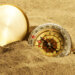You are on the shore seeking direction, but seeing your emotional connections to your life and goals. Where is the direction you can trust? Revelation's Seventh Trumpet is the sign you are ready and have been trusting Guidance in this way, or you know someone whom has begun.